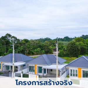 Landy Estate ทำ feasibility ศึกษาความเป็นไปได้โครงการหมู่บ้านจัดสรร,วิเคราะห์ที่ดิน (3)